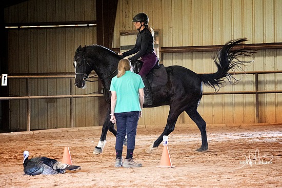 Bobbie Paulk Clinic March 2026