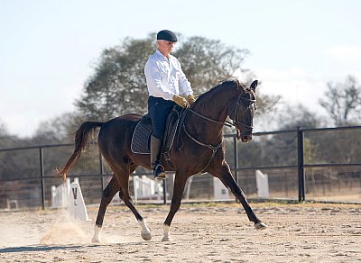 Reinhard Dorsch (Bereiter FN) at Retama Equestrian - Selma, TX